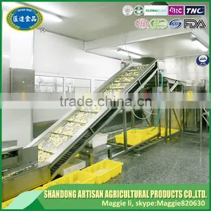 Professional Factory Direct Sale IQF Frozen Diced Garlic With Lowest Price thumbnail-5