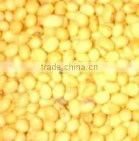 Soya Beans thumbnail-1