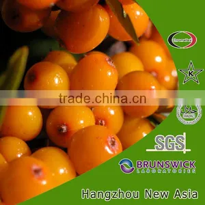 Sea-buckthorn Juice Powder thumbnail-1