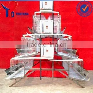 Anping Layer Chicken and Broiler Chicken Cage Factory thumbnail-5