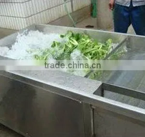 Vegetable Cleaning Machine for Food Processing thumbnail-1