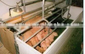 Farrowing Crate thumbnail-1