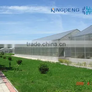 Venlo Agricultural Polycarbonate Sheet Greenhouse thumbnail-2