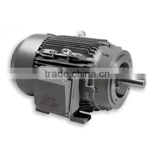 IE3 Standard 380V 15KW Three Phase Induction Cast Iron Motor With UL Approval thumbnail-1