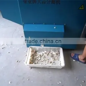 Good Selling Garlic Clove Separator Machine With Factory Price thumbnail-6