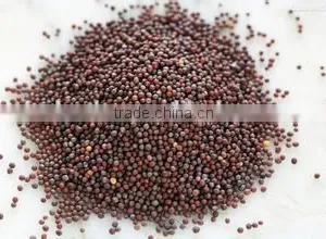 Mustard Seeds Multiple Layer Continuous Type Mesh Belt Dryer thumbnail-6