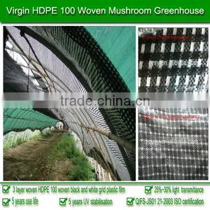 China Plastic Manufacture Supply 3-layer Woven 200 Micron 5-year UV Stabilized HDPE Tunnel Plastic Greenhouse Film for Mushroom thumbnail-2