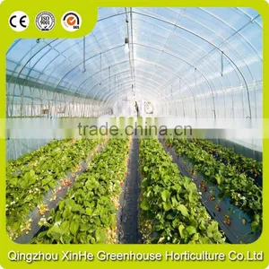 Low Price Greenhouse,Film Agricultural Greenhouse Hot Selling thumbnail-1