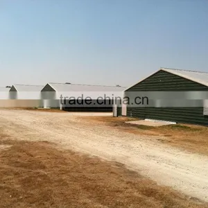 BT Factory Chicken Farming for Broiler Chicken thumbnail-4