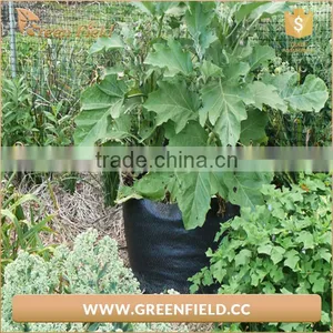 Eco Friendly Garden Felt Grow Bags Recyclable Fabric Plant Grow Bag thumbnail-3