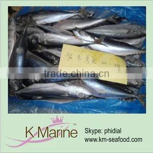 300g up Land Frozen Mackerel Fish thumbnail-1