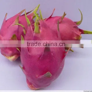 3 Realistic Artificial Pitayas Fruits Fake Fruits Faux Pitayas thumbnail-1