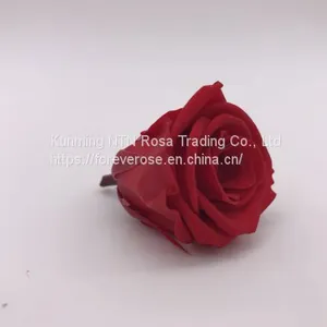 High Quality Timeless Preserved Flower to Make Gorgeous Flower Gifts thumbnail-4