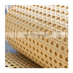Plastic Cane Webbing 24
