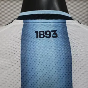 2627 Argentina Jersey No. 10 Messi Football Jersey Short Sleeve Player Version Jersey for USA, Canada, Mexico World Cup thumbnail-4