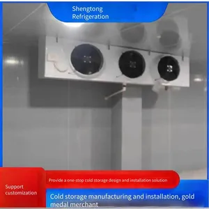 Fruit and Vegetable Fresh-keeping Warehouses, Small and Large Cold Storage Equipment With Low Noise, High Efficiency, Energy-saving and Power-saving thumbnail-2