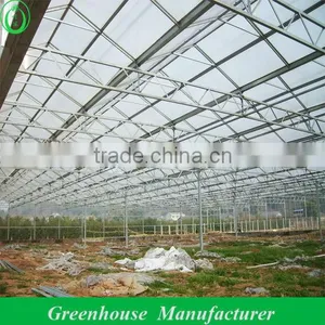 Commercial Polycarbonate Greenhouse thumbnail-1