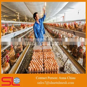 Cheap Cage for Growing Broiler / Broiler Battery Cage / Broiler Cage thumbnail-1