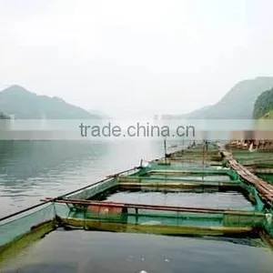 Aquatic Product to Keep Pond Water Fertile and Bright thumbnail-3