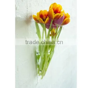 Hang Glass Vase Clear Transparent Leadfree Customized Special Unique Radish Shape Popular Model thumbnail-1