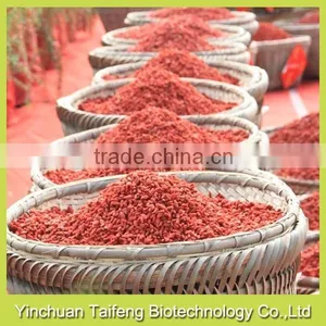 no Pesticide Goji Fruit thumbnail-3