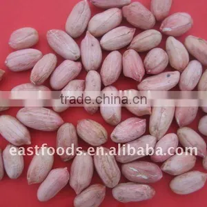 Long Type Peanut Kernel From China thumbnail-5