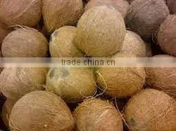 Husked and Semi Husked Coconut Exporter From India thumbnail-3