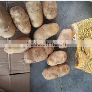 Fresh Potato thumbnail-1