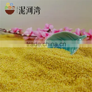 Organic Yellow Millet Bulk and Vacuum Packing Export Grade 2016 Crop thumbnail-1