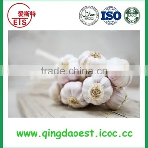 Jining White Garlic in Mesh Bag or Carton to Singapore thumbnail-2