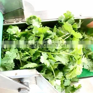 FC-306 Automatic Electric Vegetable Slicer Equipment Shredder Machine thumbnail-4