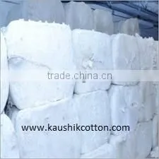 Shankar-6 Cotton For Export thumbnail-1