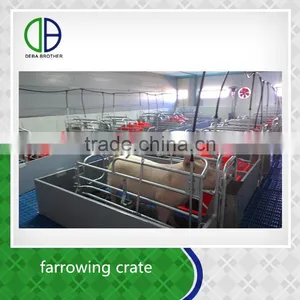 Pig Equipment Hot Galvanzied Factory Supply Farrowing To Finish thumbnail-2