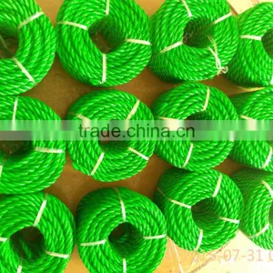 Hot Sale PP Monofilament Rope , Twisted Rope thumbnail-1