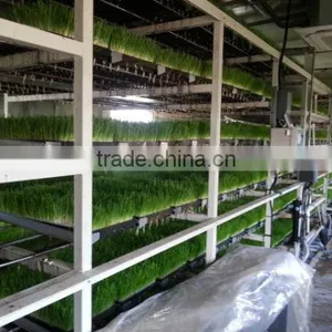 BK Conveyor Culture thumbnail-2