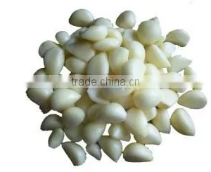 Large Machine Cutter Chengdu Mashed Garlic Ginger Garlic Machine of High Quality Stainless Steel Blade Free Use of a Machine thumbnail-2