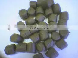 Animal Application Extruder for Fish Food thumbnail-2