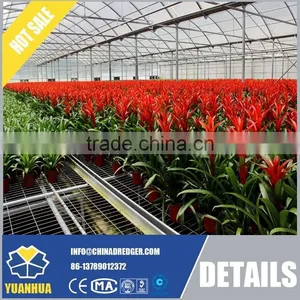 Glass Greenhouse for Vegetable and Flowers Growing thumbnail-3
