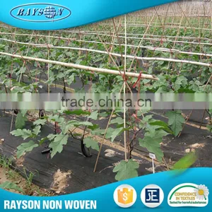 Hot Selling Products Polypropylene Plastic Agriculture Black Film thumbnail-3