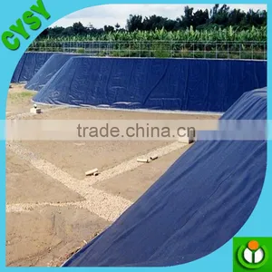 HDPE Wholesale 0.5mm Fish Farming Non Toxia Tank Pond Liner thumbnail-4