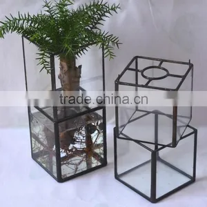 Latest Design Rectangular Terrarium Hydroponic Glass Containers thumbnail-3