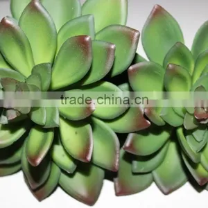 Artificial Succulent Plants Tropical Plants thumbnail-1