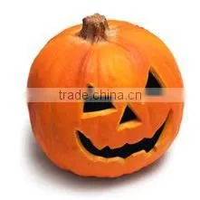 Halloween Pumpkin thumbnail-1