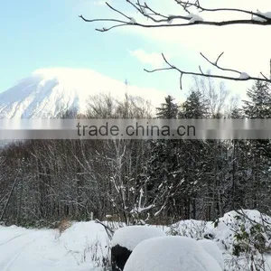 Real Estate in Japan , Hokkaido , Land for Investors thumbnail-1