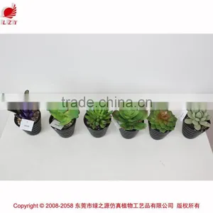 Wholesale Artificial Plants Mini Succulents for Indoor Decoration thumbnail-6