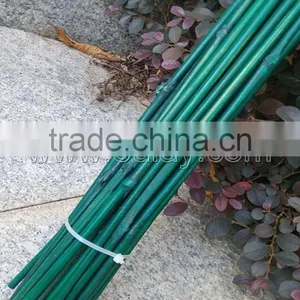 Dyed Different Colors Bamboo Sticks for Garden&agriculture thumbnail-3