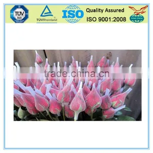 PE Flower Bud Netting thumbnail-1