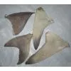 Maldives 100% Sun Dried Shark Fin thumbnail-1