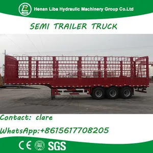 Best Seller in South Asia Stake/Cargo Semi Trailer Animal Transport Trailer thumbnail-1
