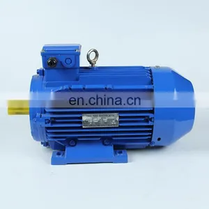 Electric Motor Price in Pakistan 3 Phase ac Induction Motor thumbnail-2